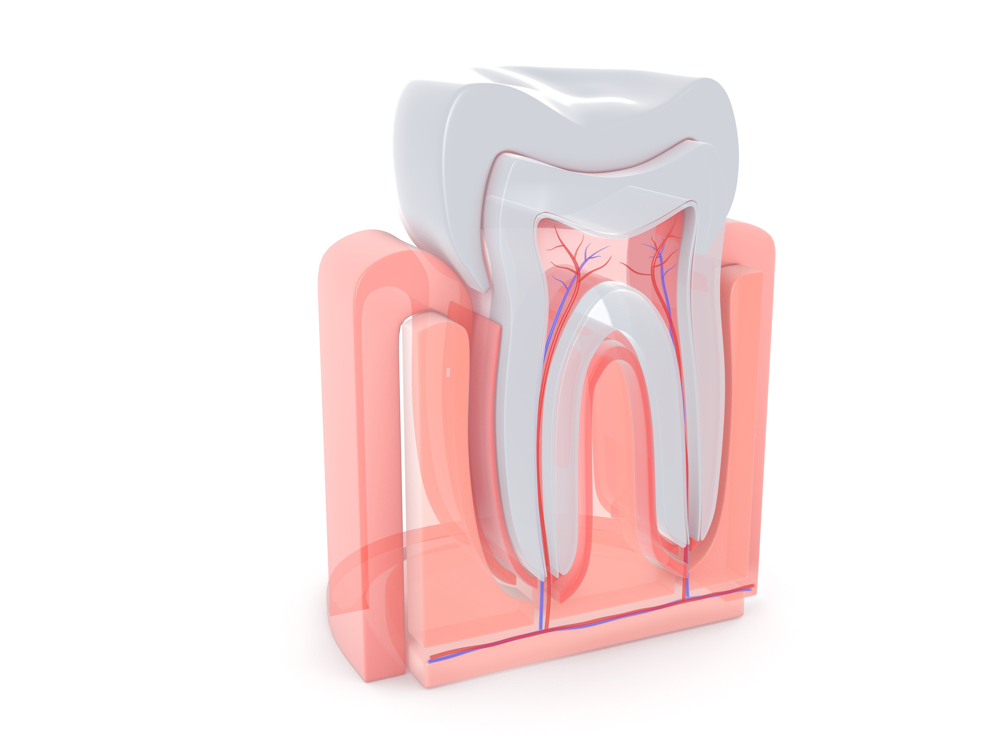 www.d-tox.dental