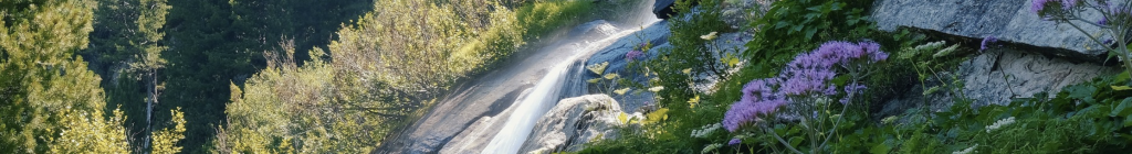 Bildschirmfoto 2024-05-15 um 15.57.26