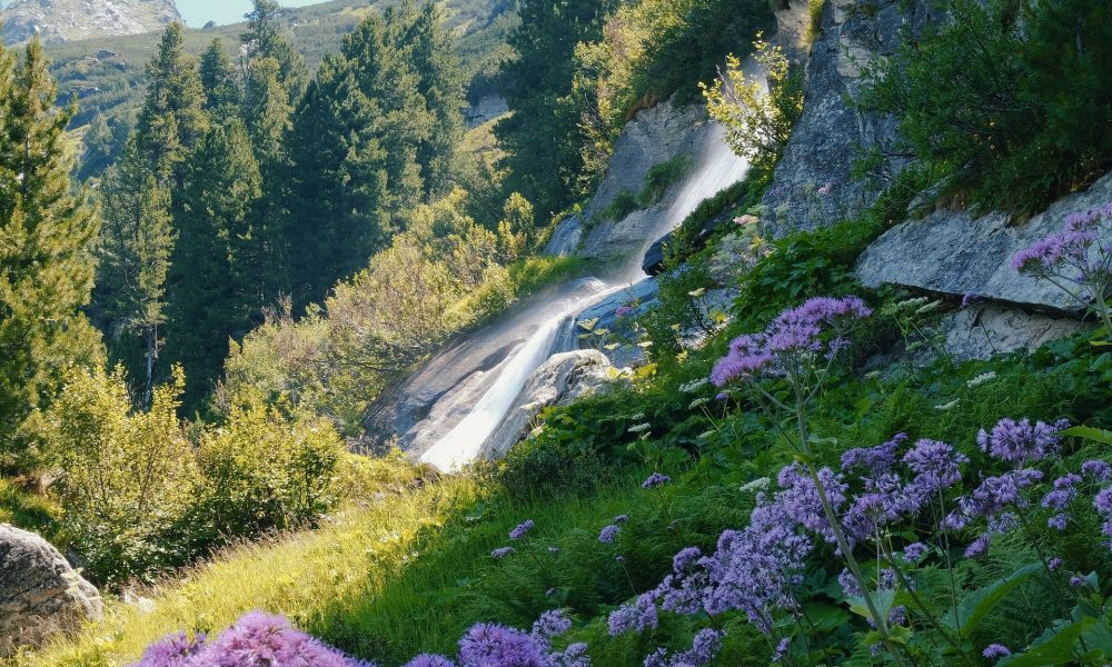 waterfall-7344396_1920